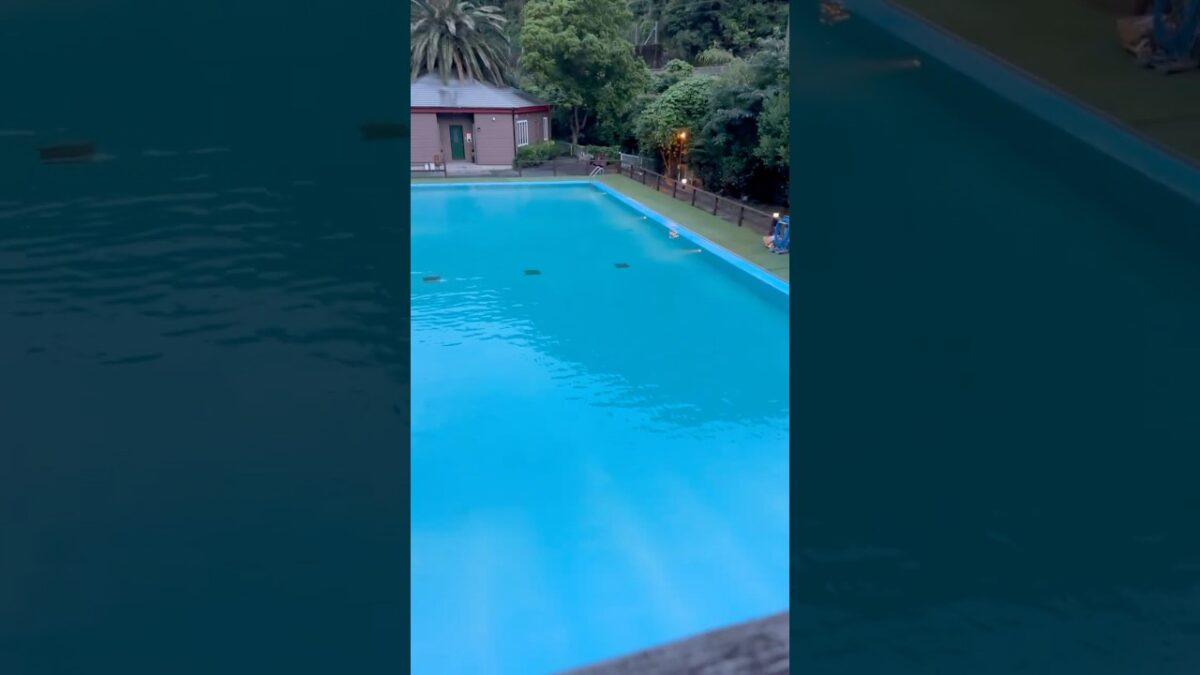 【ルームツアー】源泉プール、源泉温泉と岩盤浴　2026.06.19   アミドローラ Amis Dolores 東伊豆　河津町　明日からダイビング　#温泉 #源泉掛け流し #岩盤浴　#秘境　#プール