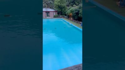 【ルームツアー】源泉プール、源泉温泉と岩盤浴　2026.06.19   アミドローラ Amis Dolores 東伊豆　河津町　明日からダイビング　#温泉 #源泉掛け流し #岩盤浴　#秘境　#プール