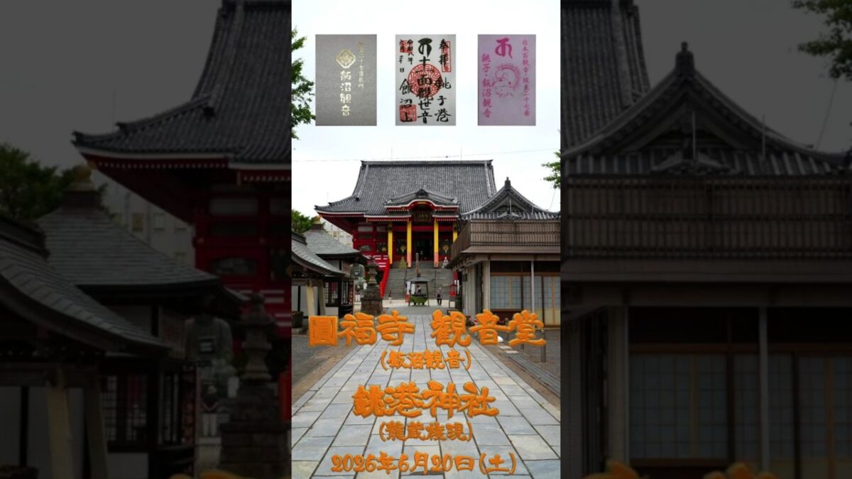 2026/06/20 圓福寺・銚港神社 #千葉県 #神社仏閣巡り #御朱印 #shorts