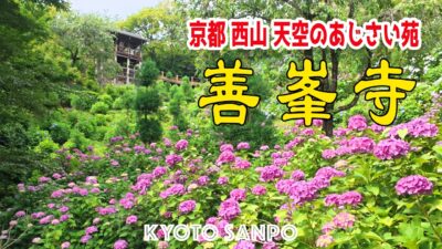 2026/6/19 (金) ☀️初夏の京都Vlig☀️真夏日の『善峯寺』山一面に広がる絶景あじさい苑と幸福地蔵に癒されれる旅 /京都Vlog/初夏の京都/初夏さんぽ/Kyoto walk [京都4K]