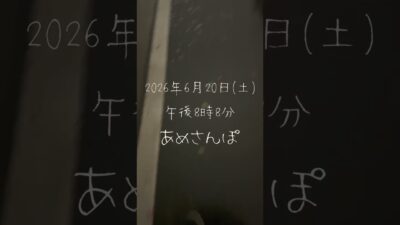 【あめさんぽ】雨の日の愛知県名古屋市中村区太閤通【2026年6月20日(土)】