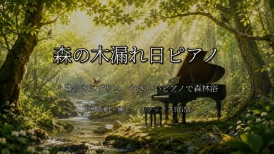 【2時間】森の木漏れ日ピアノBGM｜小鳥のさえずりとやさしいピアノで森林浴｜Komorebi Forest Piano
