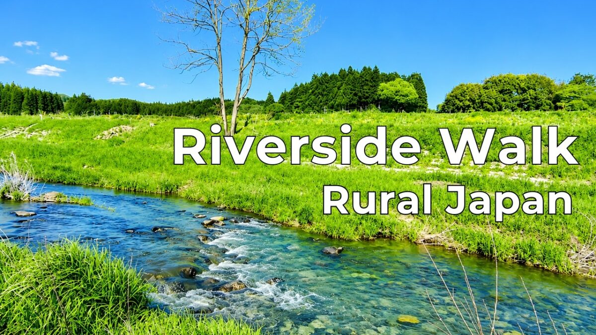 30-Minute Rural Riverside Walk: Streams & Rice Fields in Japan [60fps]