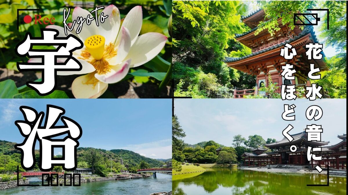 【4K 京都Vlog】紫陽花咲く三室戸寺へ｜初夏の宇治を歩く〈前編〉