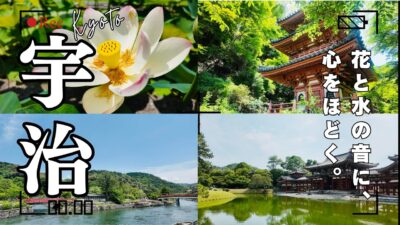 【4K 京都Vlog】紫陽花咲く三室戸寺へ｜初夏の宇治を歩く〈前編〉