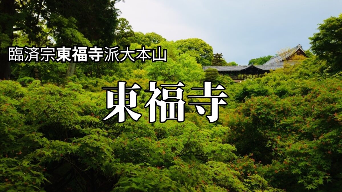 【4K 京都Vlog】雨上がりの勝林寺と東福寺｜5月の新緑に包まれる京都散歩