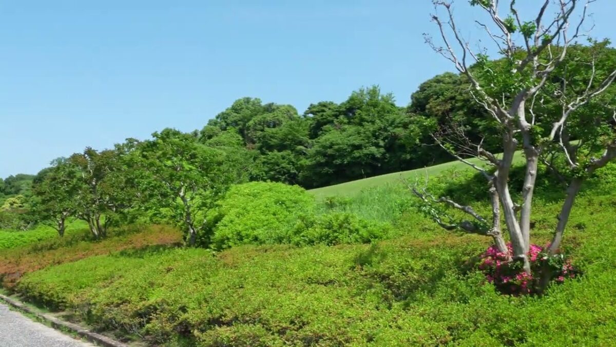 【4K】万博記念公園⛲️㏌日本庭園5月🌳お散歩👣Vol.42#万博記念公園 #ミャクミャク #ありが塔 #おめで塔 #太陽の塔 #吹田市 #japan #zve10m2 #sony #art #4k