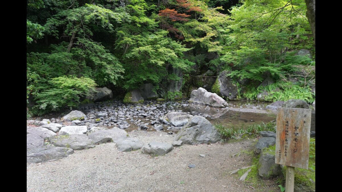 【4K】万博記念公園⛲️㏌日本庭園6月🌳お散歩👣Vol.50#万博記念公園 #ミャクミャク #ありが塔 #おめで塔 #太陽の塔 #吹田市 #japan #zve10m2 #sony #art #4k