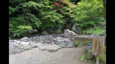 【4K】万博記念公園⛲️㏌日本庭園6月🌳お散歩👣Vol.50#万博記念公園 #ミャクミャク #ありが塔 #おめで塔 #太陽の塔 #吹田市 #japan #zve10m2 #sony #art #4k