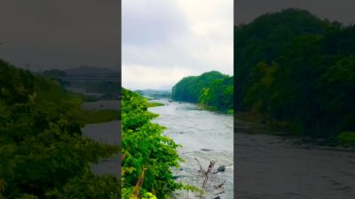 雨音に包まれる川辺の散歩 | A Peaceful Riverside Walk  #RainyDay#RiversideWalk #naturesounds #RelaxingNature