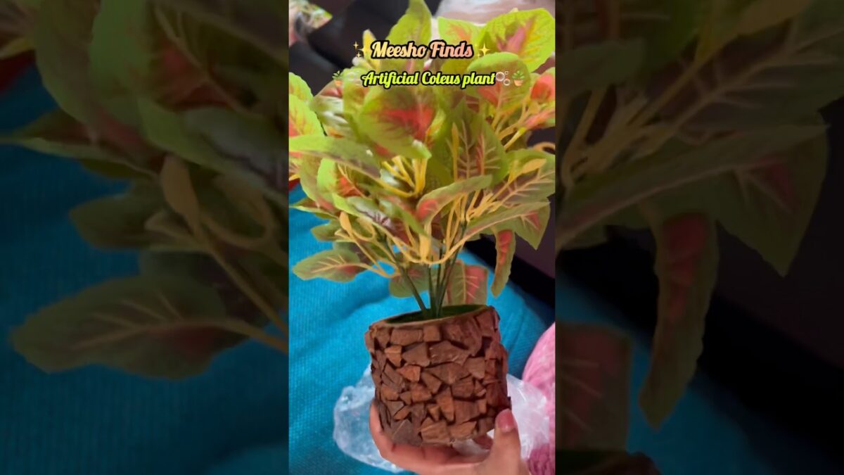 Artificial Coleus plant🪴#ytshorts #home #shortsfeed #nature #asmr #shorts