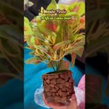 Artificial Coleus plant🪴#ytshorts #home #shortsfeed #nature #asmr #shorts