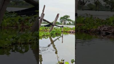 Ayo Kita mancing Ika #fishing #mamcingliar #mancingmania #nature #asmr #angler #nature #riverfishing