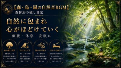 【森・鳥・風の自然音BGM】森林浴の癒し音楽｜療養・休息・安眠に