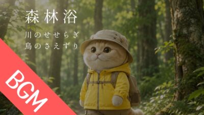 【リラックスBGM】きなこと森林浴🐱川のせせらぎ、鳥のさえずり🐤心身の回復やリラックスに。リラクゼーションや癒しの空間作りにも。6時間