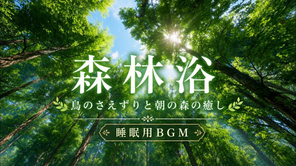【睡眠用BGM】鳥のさえずりと朝の森｜森林浴で心を整えるリラックスBGM