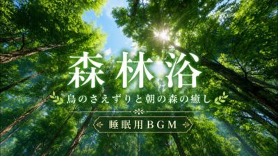 【睡眠用BGM】鳥のさえずりと朝の森｜森林浴で心を整えるリラックスBGM