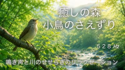 【森林浴BGM】まるで森の中で横たわっているかのような、圧倒的な開放感と安心感、聴くだけで自律神経が整う・Healing forest birdsong BGM for deep relaxation