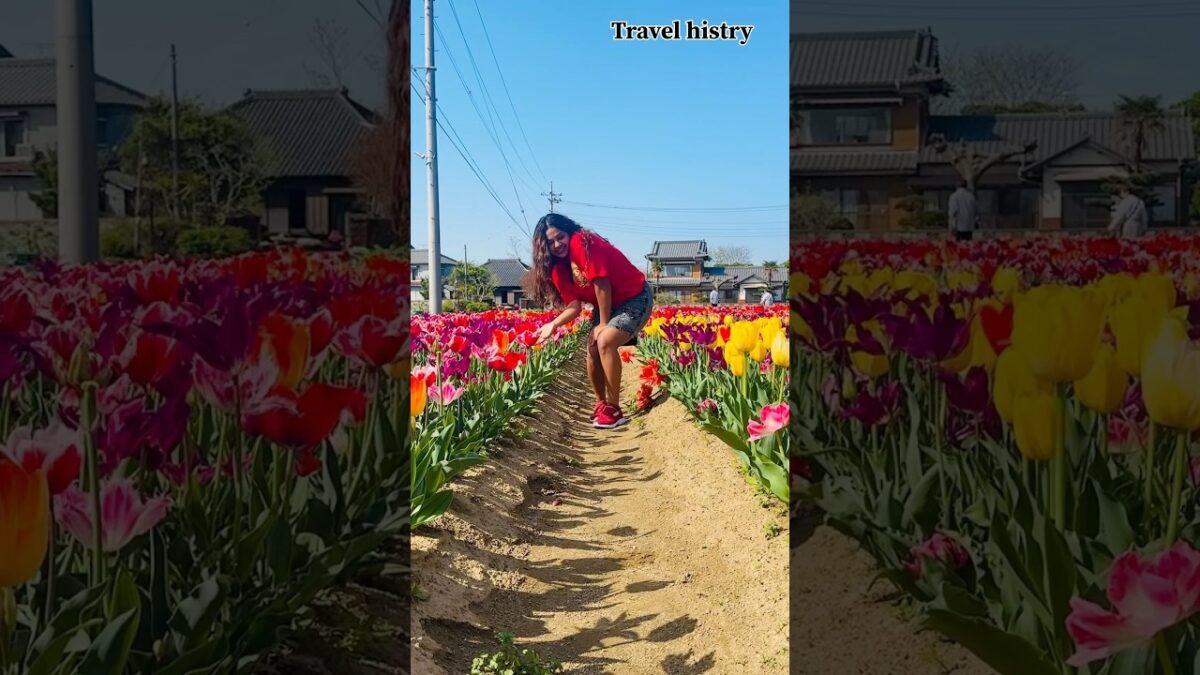 Beutiful nature flower garden in japan    🌷Relaxing Walk