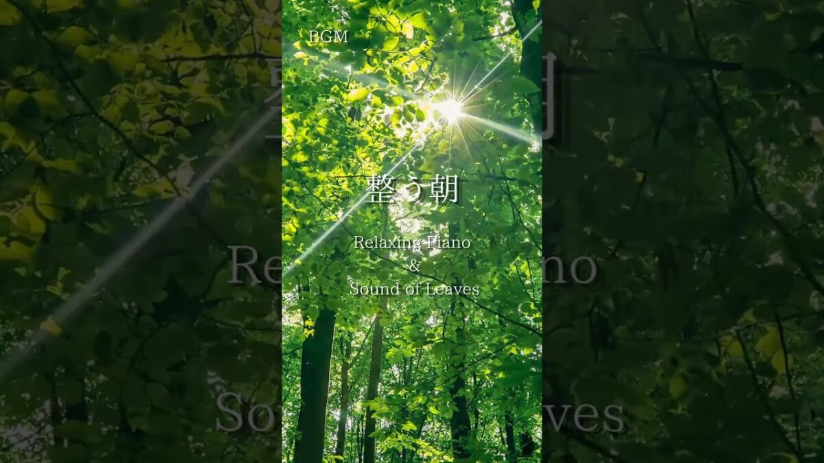 整う朝｜森林浴｜葉の音｜水音｜Calm・目覚め・リラックス・集中・瞑想・勉強｜Change Mind｜ Relax ｜癒し音楽 #ambient #lofi #bgm #chill