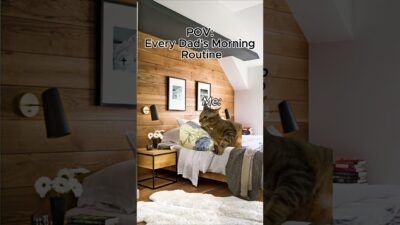 Every Dad Morning Routine Be Like #catmemes #cat