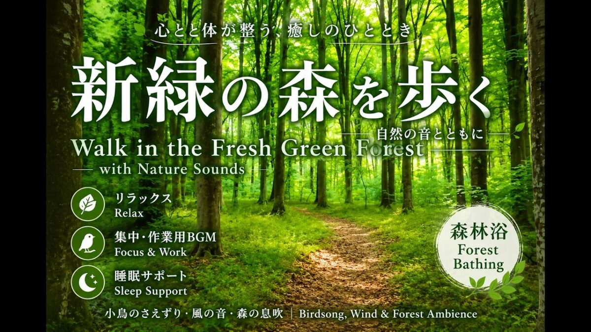 Forest Ambience | Walking Through a Lush Green Forest 【森林浴】新緑の森を歩く自然音