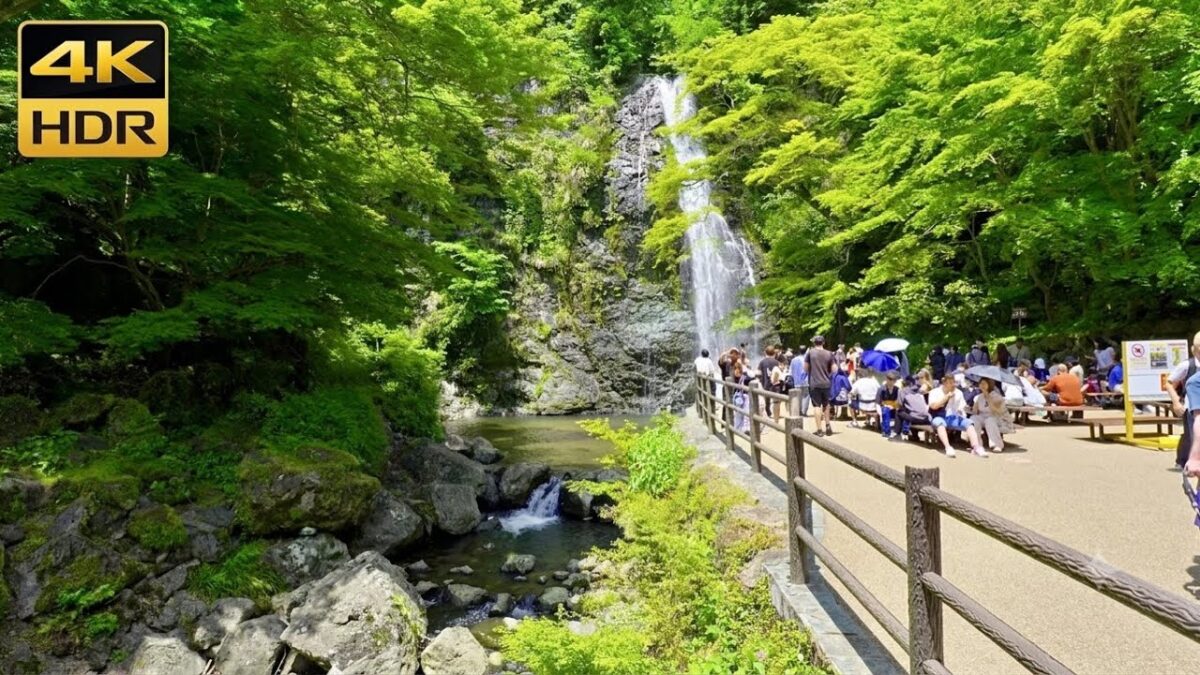 Japan Walk I Immerse Yourself In The Stunning Nature of Hyogo-Osaka I 4K HDR