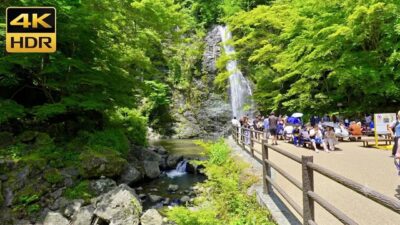 Japan Walk I Immerse Yourself In The Stunning Nature of Hyogo-Osaka I 4K HDR