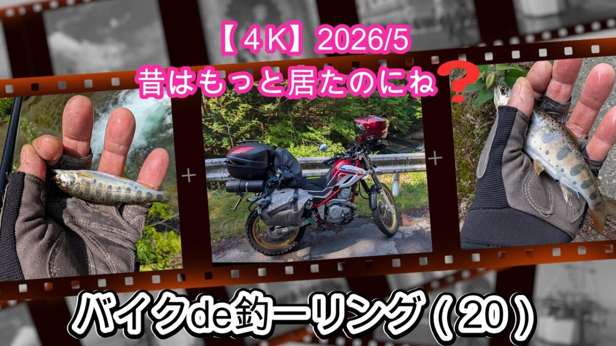 【４K】バイクde釣ーリング(20)昔は もっと釣れたのにね❓