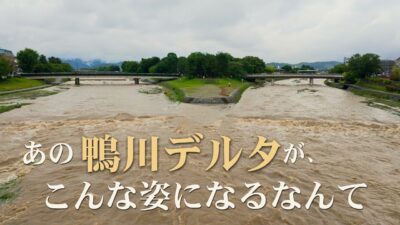 あの鴨川デルタが水没。連日の大雨で激変した鴨川【京都】｜Kyoto’s Kamo River After Heavy Rain | Japan Walk 4K HDR