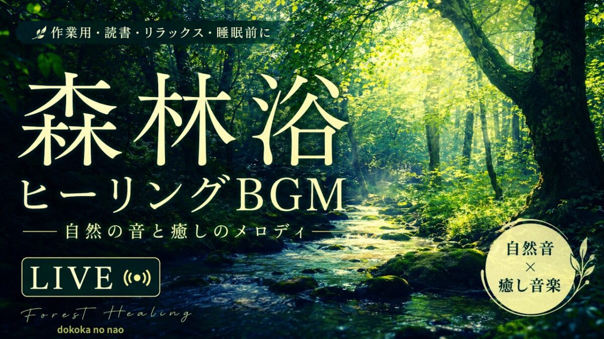 【LIVE】森林浴ヒーリングBGM  |  癒し音楽・作業用・読書・リラックス
