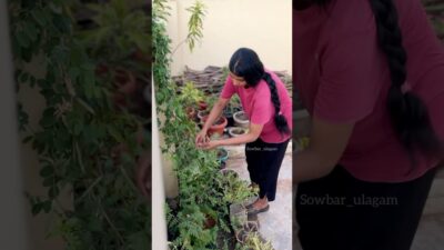 Mini early morning routine⛅️#viral#shorts#video#trending#shorts#