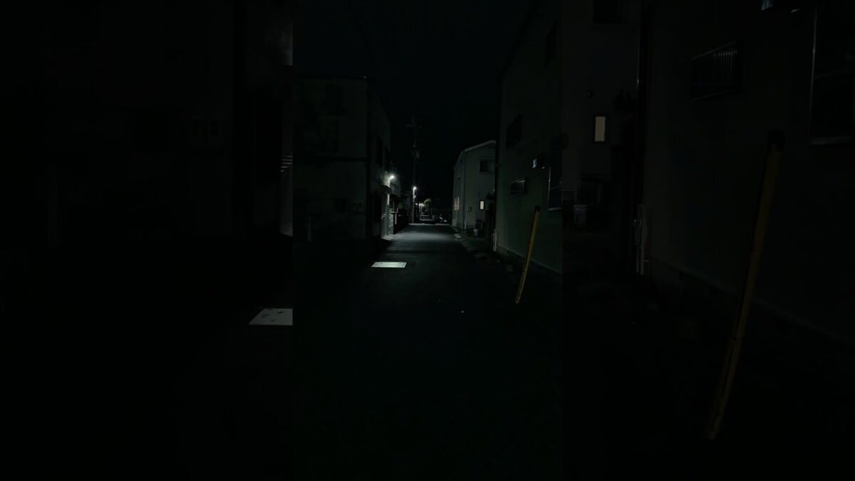 Night Walk 13 🇯🇵 #japan #aesthetic #foryou #vibes #nightwalk