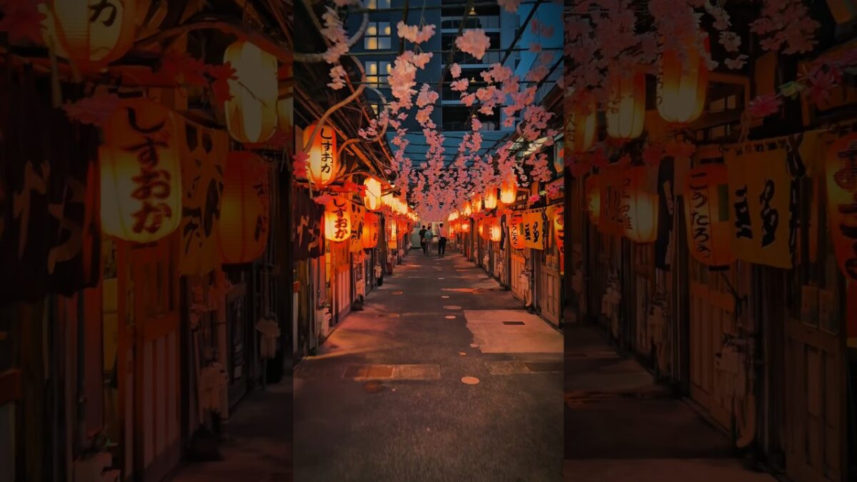 Night Walk 21🇯🇵 #japan #aesthetic #foryou #vibes #nightwalk