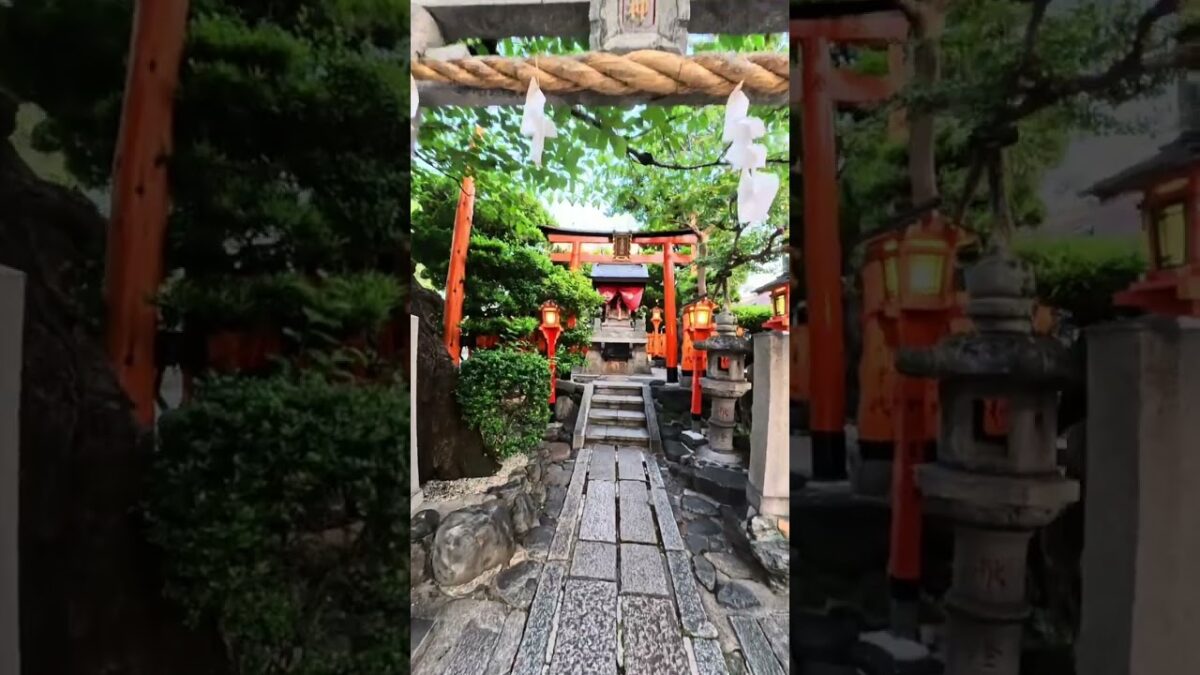 POV: Morning Walk in Kyoto Playing in the quiet⛩️