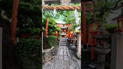 POV: Morning Walk in Kyoto Playing in the quiet⛩️
