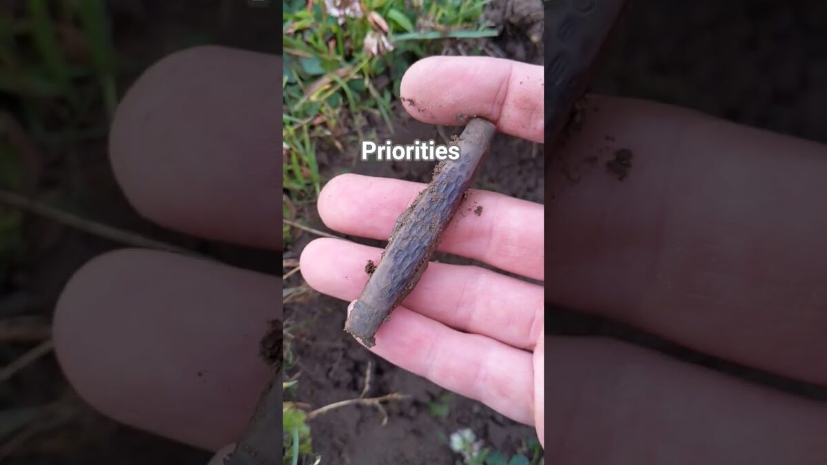 Priority #metaldetecting #knife #fun #quotes #advice #outdoors #grass #nature #asmr #life