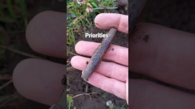 Priority #metaldetecting #knife #fun #quotes #advice #outdoors #grass #nature #asmr #life