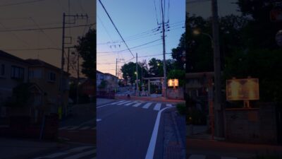Quite Streets at Dust in Japan 🌆🇯🇵 #japan #travel #walk
