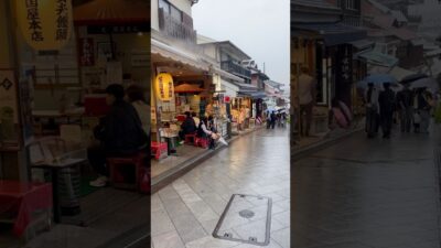 Rainy days in Japan 🇯🇵 #japan #travel #walk