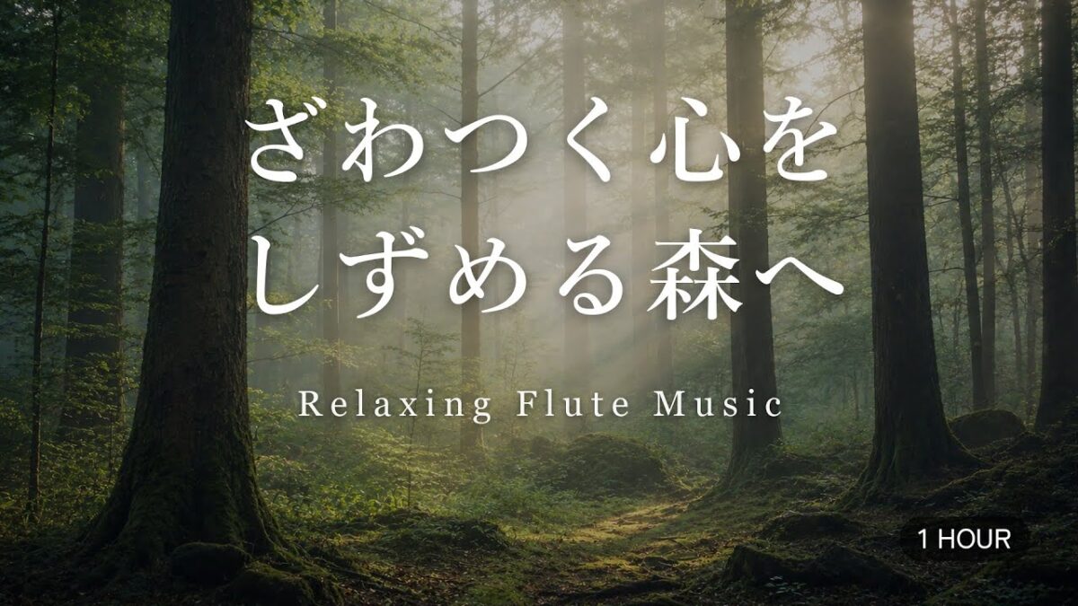 Relaxing Flute Music 🌲 Peaceful Forest Sounds for Stress Relief｜癒しBGM 森林浴 (1 Hour)