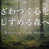 Relaxing Flute Music 🌲 Peaceful Forest Sounds for Stress Relief｜癒しBGM 森林浴 (1 Hour)