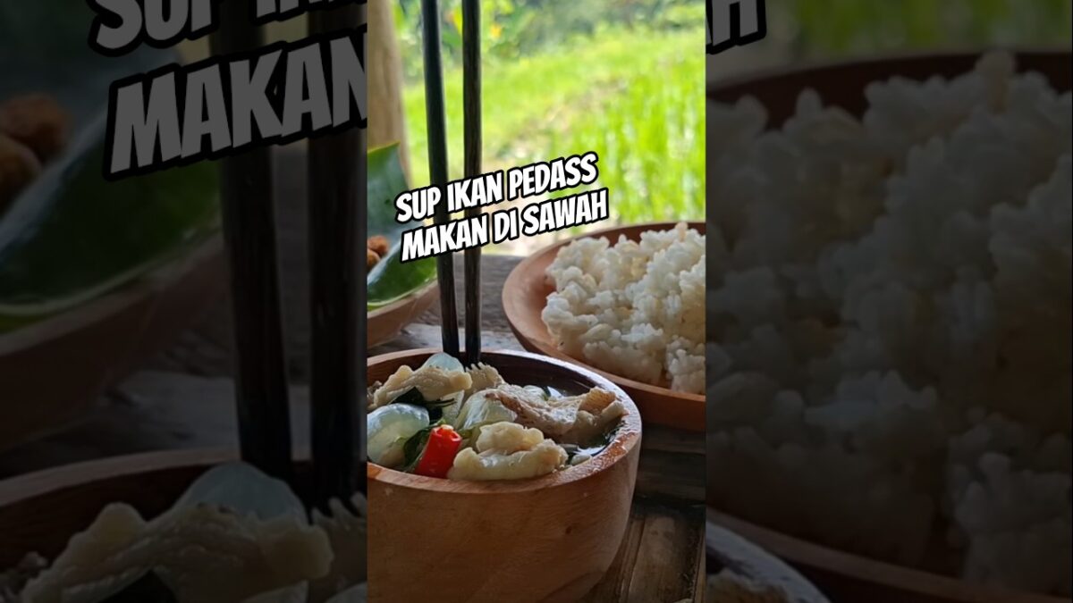 Sup Ikan Pedas di Sawah #healing #cooking #masak #nature #asmr #kuliner #sawah