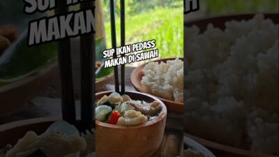 Sup Ikan Pedas di Sawah #healing #cooking #masak #nature #asmr #kuliner #sawah