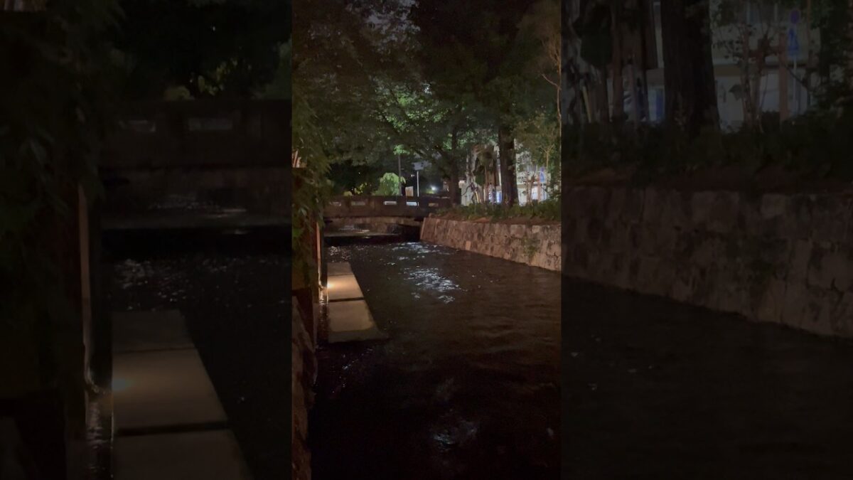 夜風が気持ちいいです（京都/高瀬川/散歩） #kyoto #walk #travel