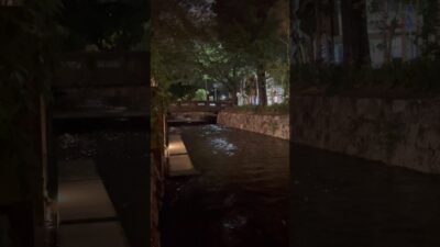 夜風が気持ちいいです（京都/高瀬川/散歩） #kyoto #walk #travel