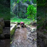 membuat tanggul air aliran sumber #nature #asmr