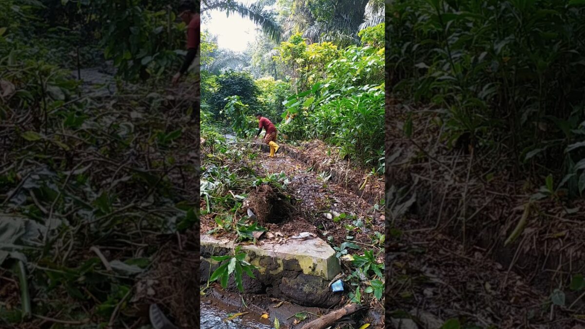 sendimen yang menyumbat aliran sumber air ternyata setebal ini #nature #asmr