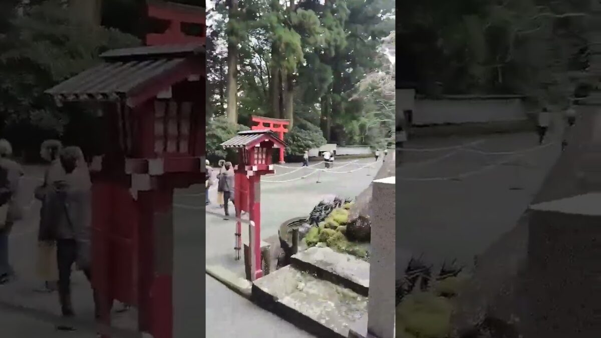開運遠隔参拝～箱根神社内九頭龍神社！ アンコール劇場#神社 #神社仏閣巡り #箱根観光 #旅行 #shorts #運気アップ #開運 #九頭龍神社 #金運 #パワースポット #観光 #今日から開運