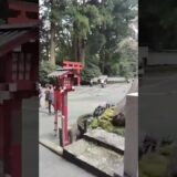 開運遠隔参拝～箱根神社内九頭龍神社！ アンコール劇場#神社 #神社仏閣巡り #箱根観光 #旅行 #shorts #運気アップ #開運 #九頭龍神社 #金運 #パワースポット #観光 #今日から開運